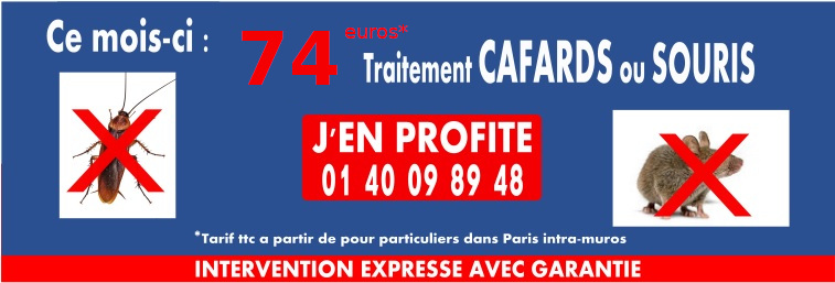 Traitement anti fouines